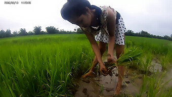 Gadis Asia Panas Mengekspos Dirinya Di Sawah